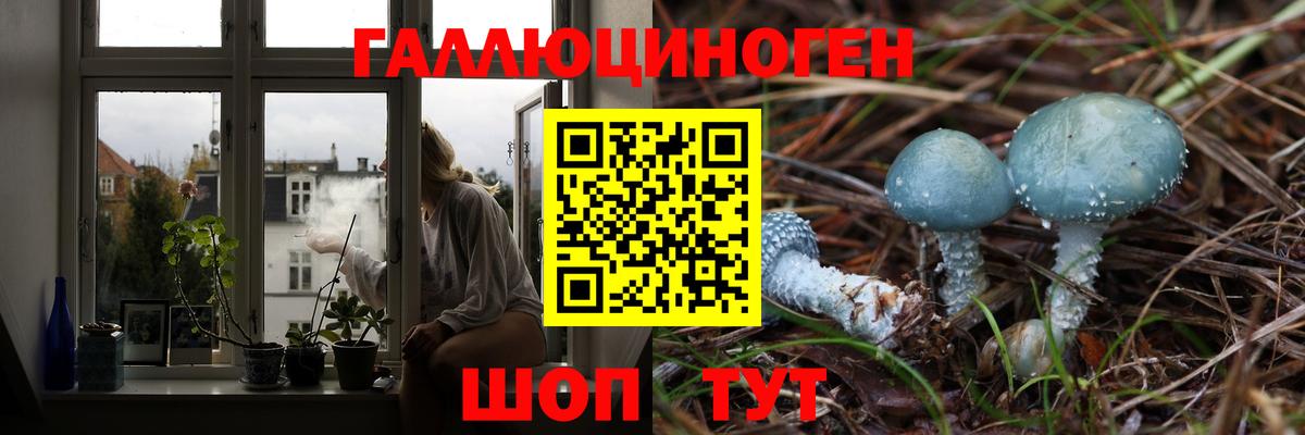 Галлюциногенные грибы мицелий  Галлюциногенные грибы Cubensis  Вход с VPN  Гуково 